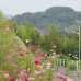 Photo of UW-Platteville Education Abroad at the Nagasaki University of Foreign Studies (NUFS)