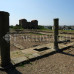 Photo of Earthwatch: England - Fort Arbeia and the Roman Empire in Britain
