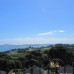 Photo of ISA Study Abroad in Wellington, New Zealand