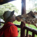Photo of Study Abroad Programs in Kenya