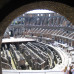 Photo of CEA CAPA Education Abroad: Rome, Italy