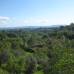 Photo of CET Siena