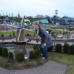 Photo of USAC Netherlands: The Hague - Undergraduate Courses