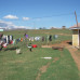 Photo of SIT Study Abroad: South Africa - Community Health and Social Policy