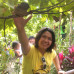 Photo of University of the Philippines, Los Baños: Laguna Province - Direct Enrollment & Exchange