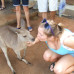 Photo of ISA Study Abroad in Sydney, Australia