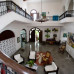 Photo of Central College Abroad: Merida - Studies in Global Health in the Yucatan