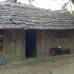Photo of Study Abroad Programs in Kenya