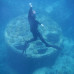 Photo of Sea Education Association: Programs at Sea - Marine Biodiversity & Conservation
