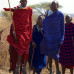 Photo of The School for Field Studies / SFS: Tanzania - Wildlife Management Studies
