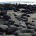Photo of The Education Abroad Network (TEAN): Dunedin - University of Otago