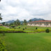 Photo of Middlebury Schools Abroad: Middlebury in Yaoundé
