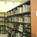 Photo of Adelante: San Jose - Semester, Summer and Intern in San Jose