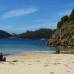Photo of Wildlands Studies: New Zealand Project: Ecosystems And Conservation