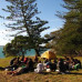 Photo of Wildlands Studies: New Zealand Project: Ecosystems And Conservation