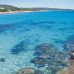 Photo of WorldStrides Study Abroad in Perth, Australia