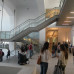 Photo of American University, Washington College of Law: Buenos Aires - Study Law Abroad at Universidad Torcuato di Tella