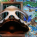 Photo of API (Academic Programs International): Barcelona - Internship Programs in Spain
