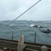 Photo of Sea Education Association: Programs at Sea – Historic Seaports of Western Europe ( Summer )