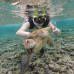 Photo of University of Georgia, Discover Abroad: Australia - Winter Program