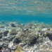 Photo of SIT Study Abroad: Australia - Rainforest, Reef, and Cultural Ecology