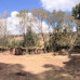 Photo of GLA: Global Leadership Adventures: Volunteer Abroad Experience