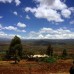 Photo of The School for Field Studies / SFS: Tanzania - Wildlife Management Studies