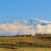 Photo of IPSL: Segovia - Study Abroad + Service Learning in Spain