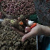 Photo of Eastern Illinois University (EIU): Bali & Java - Imagine Indonesia: Discover the Wonders of Bali and Java