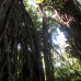 Photo of Eastern Illinois University (EIU): Bali & Java - Imagine Indonesia: Discover the Wonders of Bali and Java