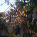 Photo of St. Mary's College of Maryland: Traveling - India Study Tour