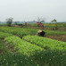Photo of SIT Study Abroad/IHP Climate Change: The Politics of Food, Water, and Energy Justice