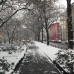 Photo of CIEE: Berlin - Open Campus Program