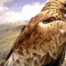 Photo of Round River Conservation Studies - Mongolia Conservation Program