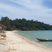 Photo of The Experiment: Vietnam - Ecology and Conservation