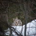 Photo of Swan Valley Connections: Landscape and Livelihood