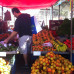 Photo of Volunteer Costa Rica Escazu: Spanish Immersion Lessons