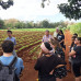 Photo of EEAbroad: Study Abroad Programs in Cuba