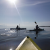 Photo of Round River Conservation Studies: Costa Rica – The Osa Peninsula