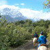 Photo of WMU: Business and Culture in South America: Chile (Faculty-led)