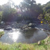 Photo of SIT Study Abroad: Panama - Tropical Ecology, Marine Ecosystems, and Biodiversity Conservation