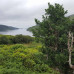 Photo of Stephen F. Austin State University (SFA): ​Doctoral Internship in Ireland