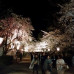 Photo of Hirosaki University: Hirosaki - Direct Enrollment & Exchange