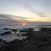 Photo of AIFS: Stellenbosch - Study Abroad or Service Learning at Stellenbosch University