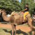 Photo of CSU: India Faculty-led Study Abroad Program