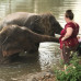 Photo of GSU Counseling and Diversity in Thailand