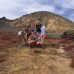 Photo of IES Abroad: Galápagos Islands Direct Enrollment - GAIAS