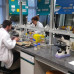 Photo of CEU San Pablo University: Madrid - Business & Internships Semester