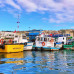 Photo of Middlebury Schools Abroad: Middlebury in Valparaiso