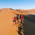 Photo of USAC South Africa: Stellenbosch - Undergraduate Courses
